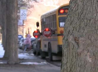 One million Illinois schoolchildren to receive loaded debit cards for monthly food assistance through expanded federal Pandemic EBT program – WLS-TV