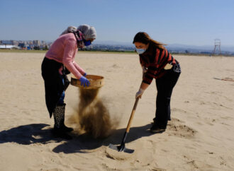 Amid Myriad Crises, Lebanon Now Confronts An Ecological Disaster On Its Shores – NPR Illinois