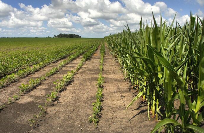 Watch now: Central Illinois farmers ready for COVID funding – Journal Gazette and Times-Courier