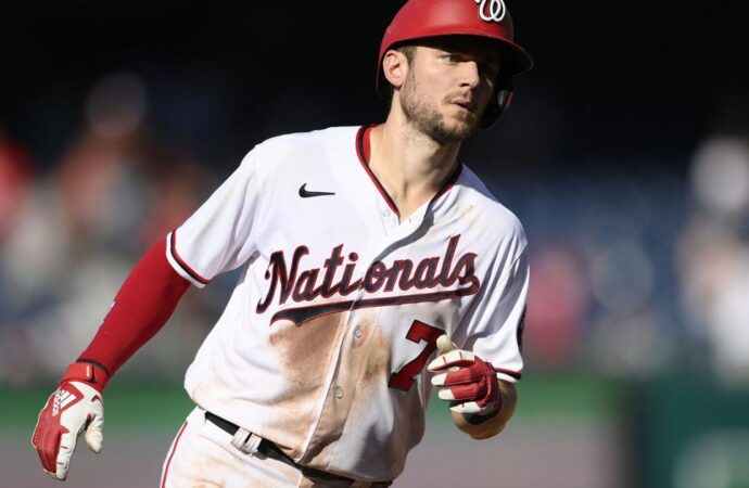 Please take three!Nuts Turner sets MLB record and hits third cycle | Government and Politics – Illinois News