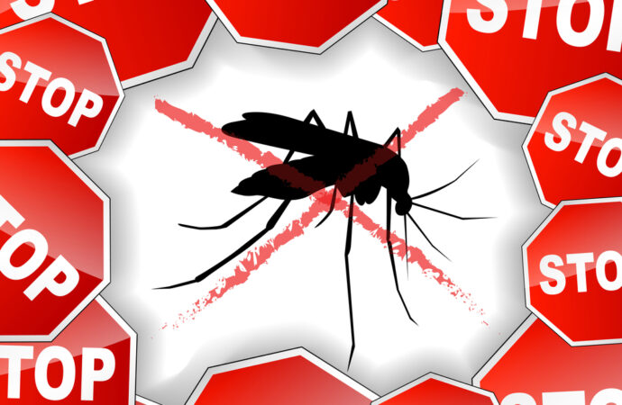 First Human Case of West Nile Virus in Illinois for 2021 – kanecountyconnects.com