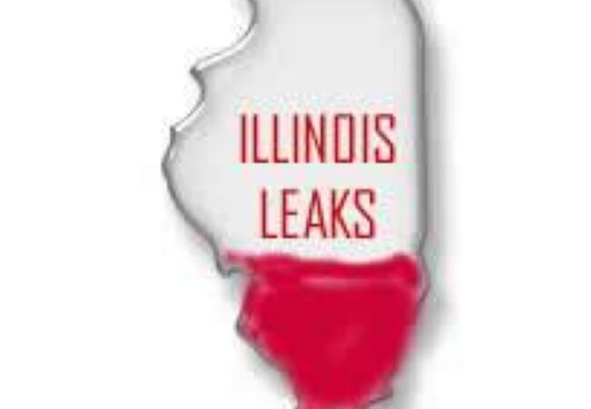 Lawlessness in Illinois – From Breast Grabbing to Illegal Gun Sales by Sheriffs – Zero Accountability