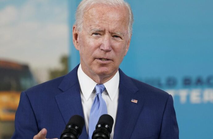 Biden attends nephew’s wedding to former “Real Housewives” star | Government and Politics – Illinois News